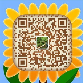 微信號